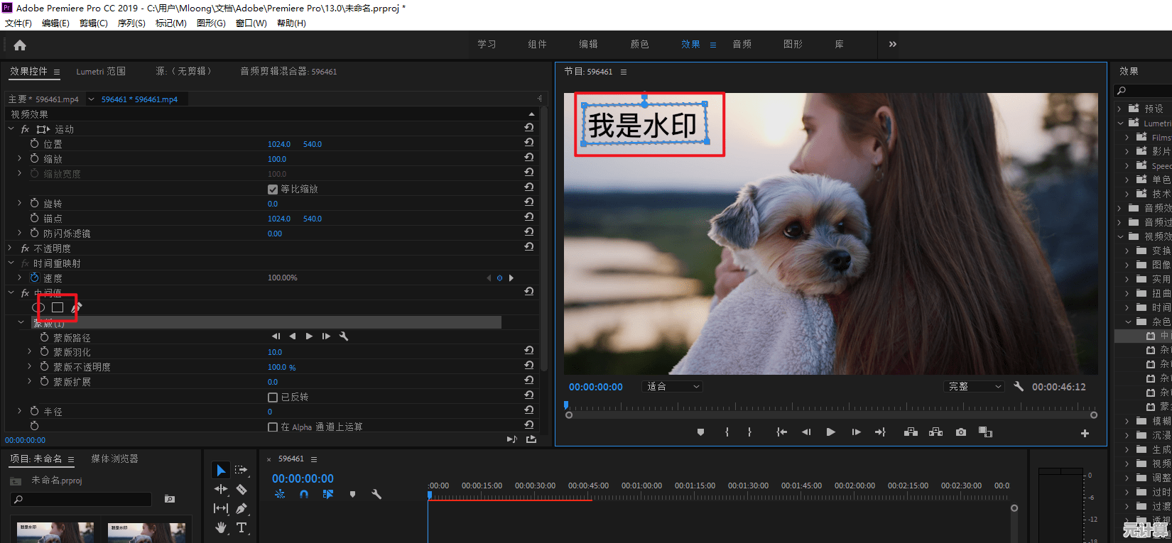 专业级视频去水印工具，让画面干净流畅无痕处理！